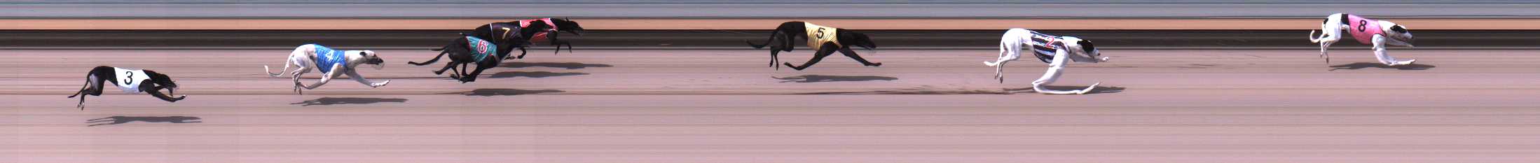 Photo finish for Warrnambool Race 4