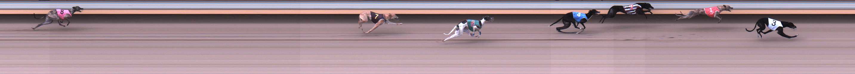 Photo finish for Warrnambool Race 6