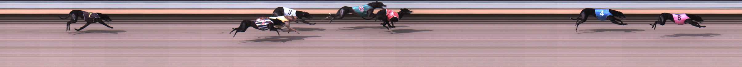 Photo finish for Warrnambool Race 7
