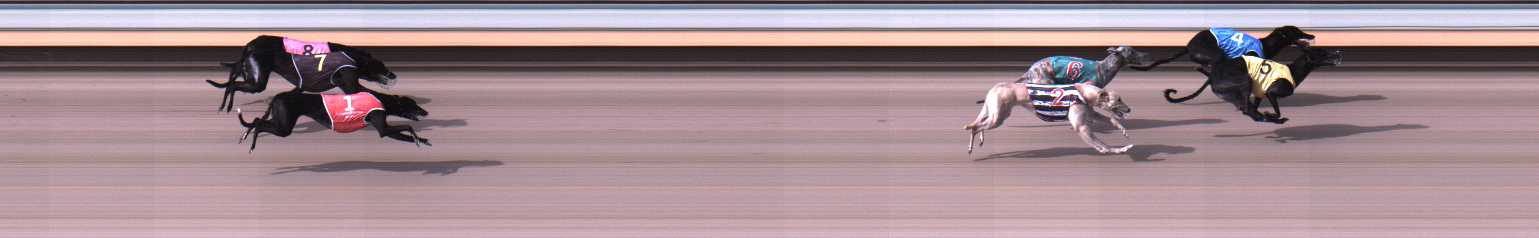 Photo finish for Warrnambool Race 8
