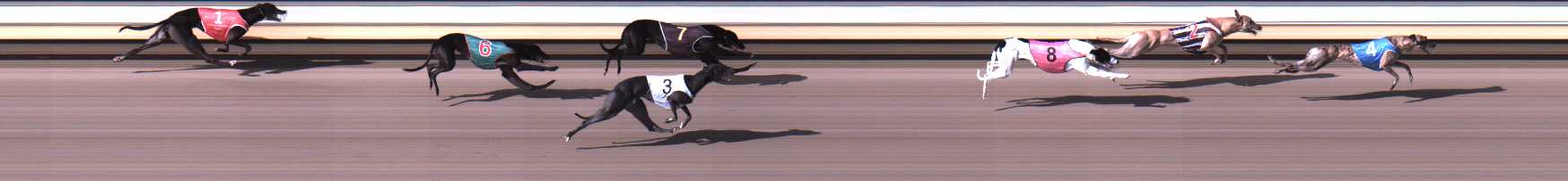 Photo finish for Warrnambool Race 9