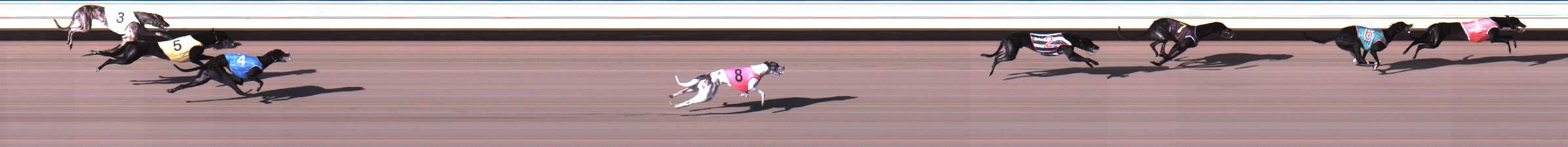 Photo finish for Warrnambool Race 1