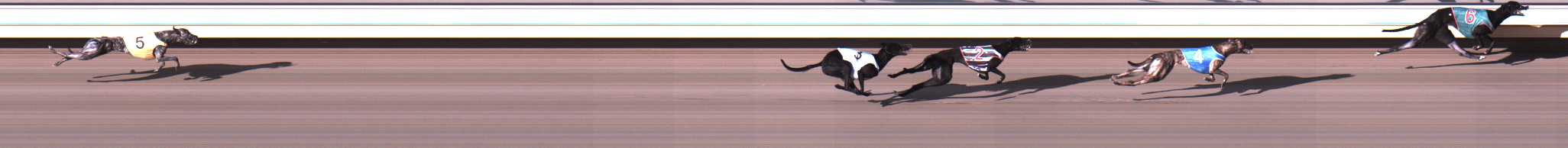 Photo finish for Warrnambool Race 2