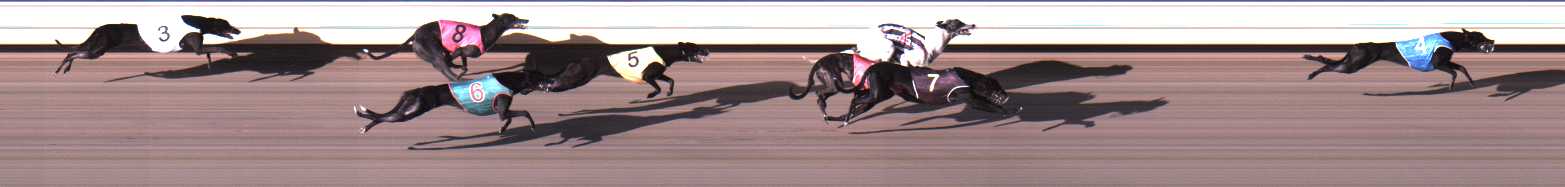 Photo finish for Warrnambool Race 3