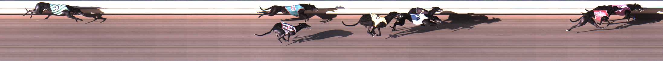 Photo finish for Warrnambool Race 4