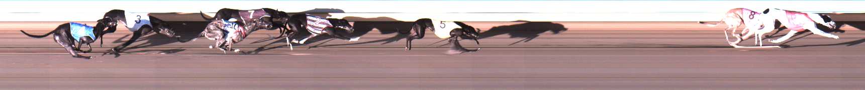 Photo finish for Warrnambool Race 5
