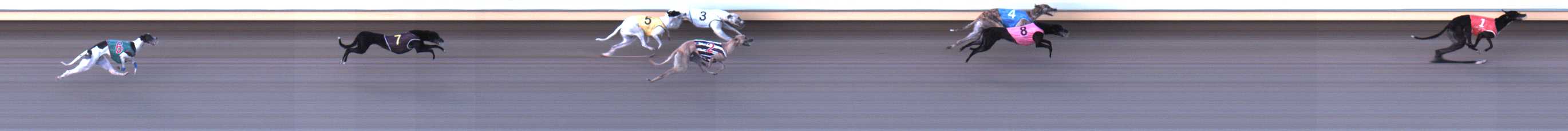 Photo finish for Warrnambool Race 7