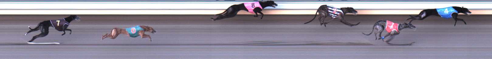 Photo finish for Warrnambool Race 8