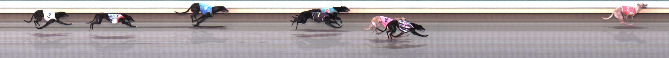 Photo finish for Warrnambool Race 9
