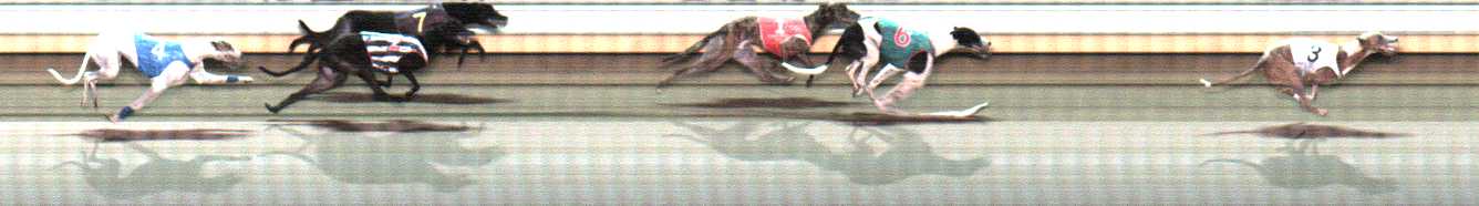 Photo finish for Warrnambool Race 11