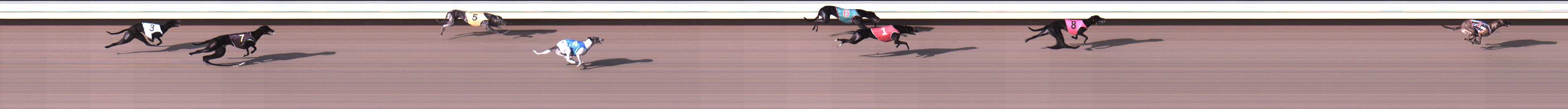 Photo finish for Warrnambool Race 1