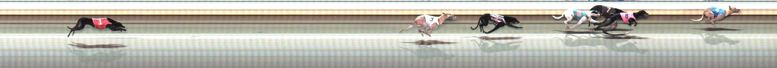 Photo finish for Warrnambool Race 10