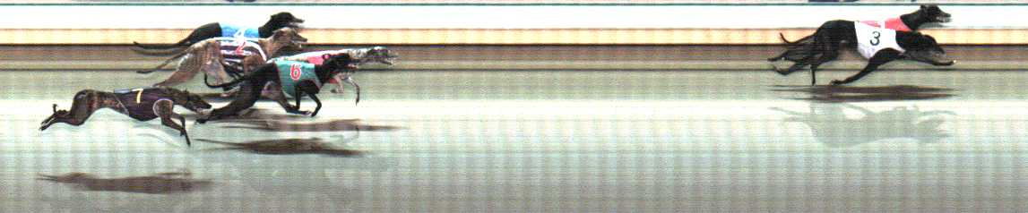 Photo finish for Warrnambool Race 11