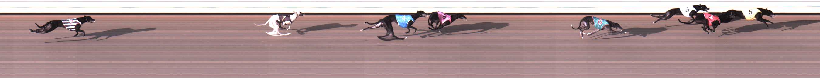 Photo finish for Warrnambool Race 3