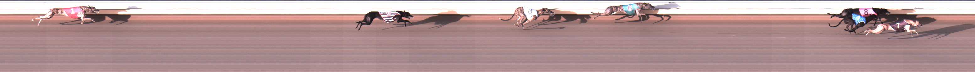 Photo finish for Warrnambool Race 4