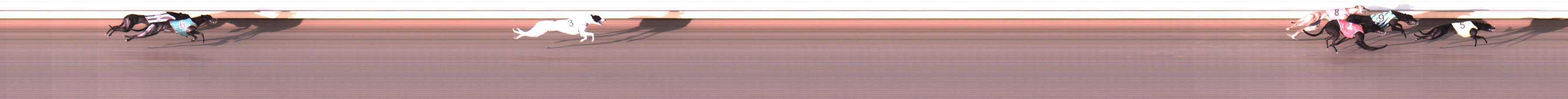Photo finish for Warrnambool Race 5