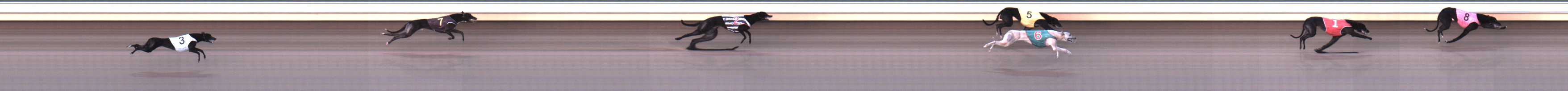 Photo finish for Warrnambool Race 6
