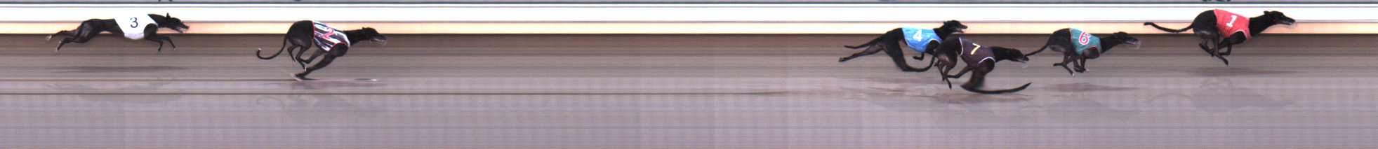 Photo finish for Warrnambool Race 7