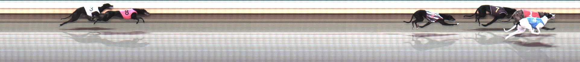 Photo finish for Warrnambool Race 9