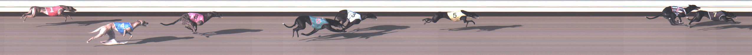 Photo finish for Warrnambool Race 1