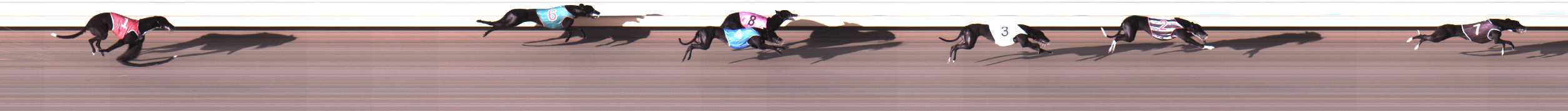 Photo finish for Warrnambool Race 3