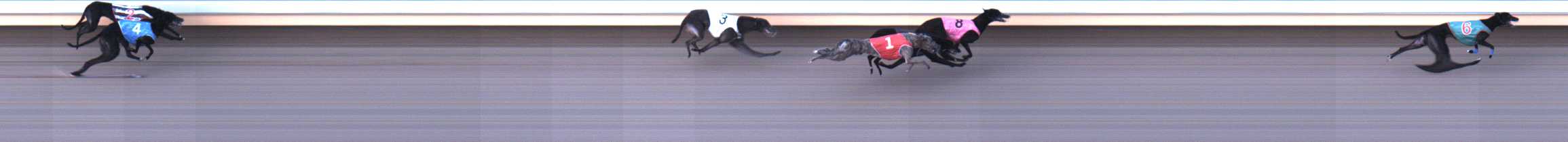 Photo finish for Warrnambool Race 6