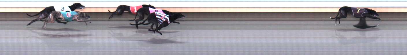 Photo finish for Warrnambool Race 7
