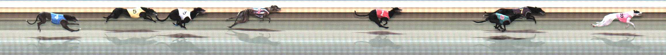 Photo finish for Warrnambool Race 9