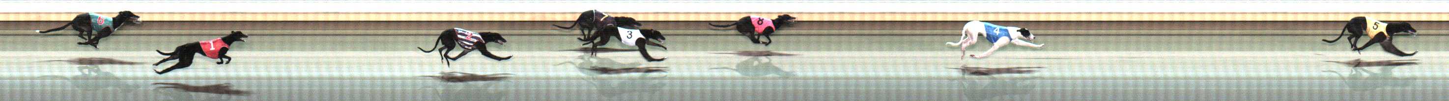 Photo finish for Warrnambool Race 10