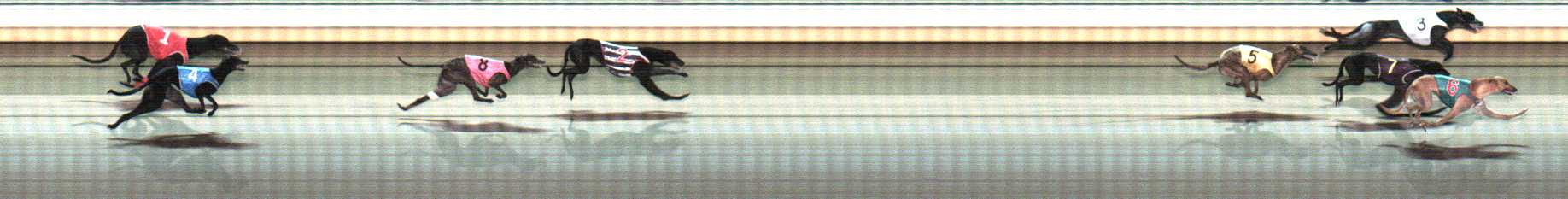 Photo finish for Warrnambool Race 11