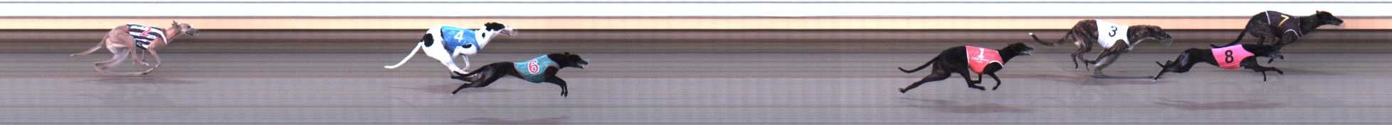 Photo finish for Warrnambool Race 3