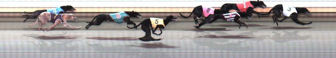 Photo finish for Warrnambool Race 5