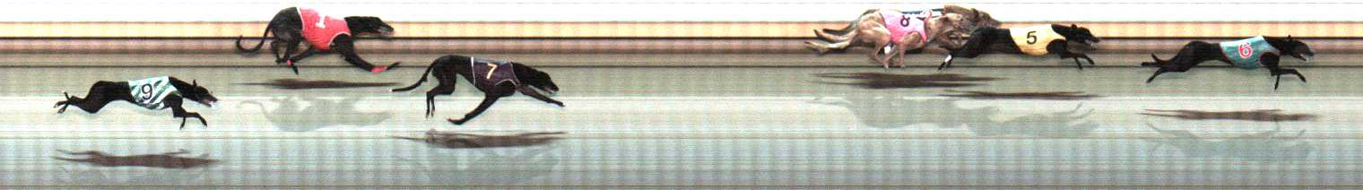 Photo finish for Warrnambool Race 6
