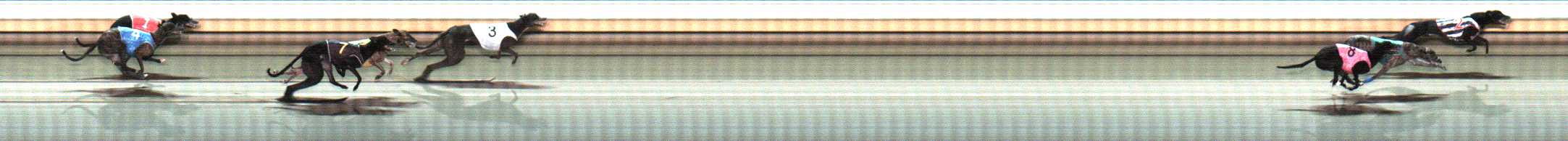 Photo finish for Warrnambool Race 7