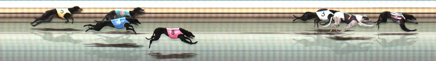 Photo finish for Warrnambool Race 9