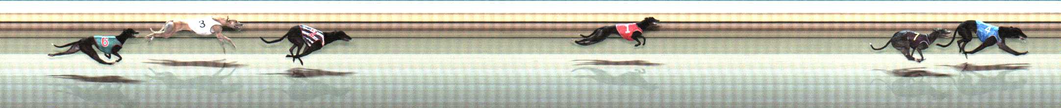 Photo finish for Warrnambool Race 10