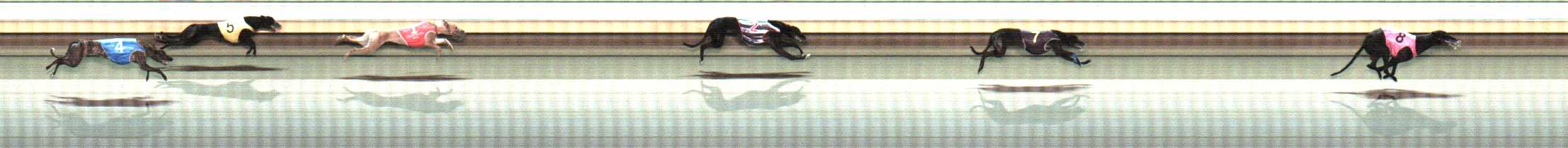 Photo finish for Warrnambool Race 10