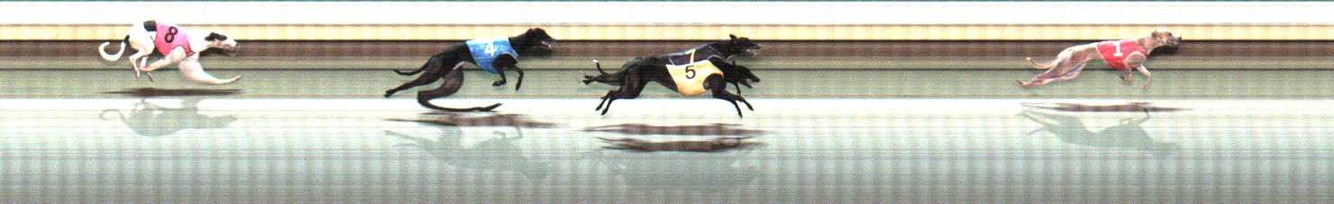Photo finish for Warrnambool Race 11