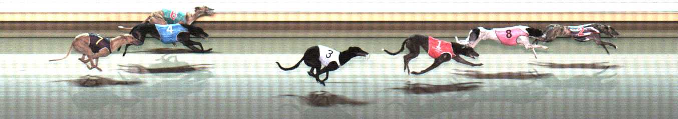Photo finish for Warrnambool Race 12