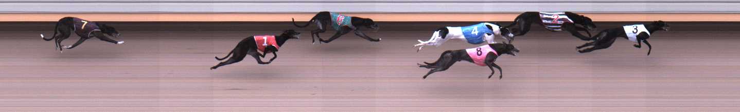 Photo finish for Warrnambool Race 2
