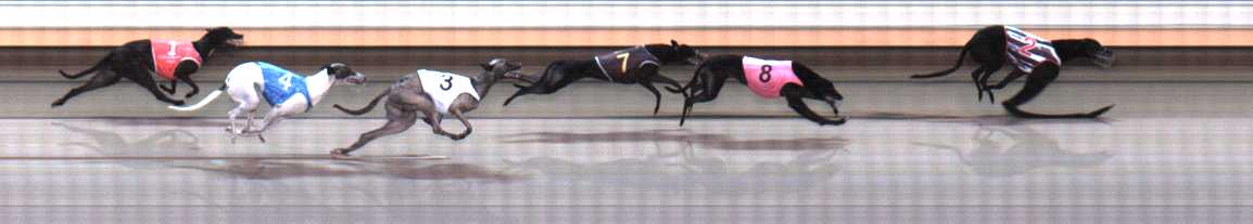 Photo finish for Warrnambool Race 5