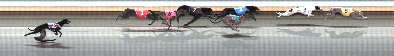 Photo finish for Warrnambool Race 6