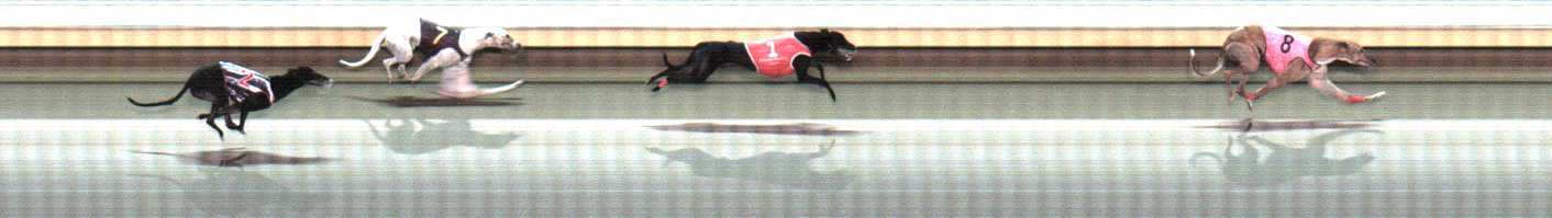 Photo finish for Warrnambool Race 7