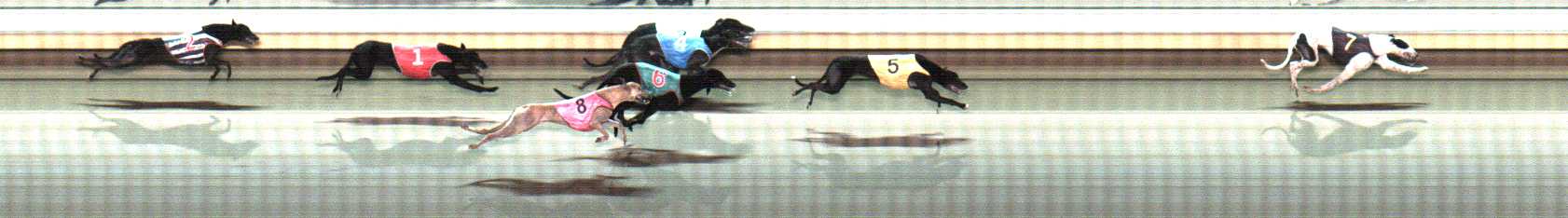 Photo finish for Warrnambool Race 9