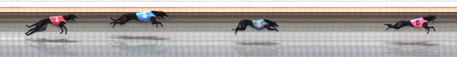 Photo finish for Warrnambool Race 1
