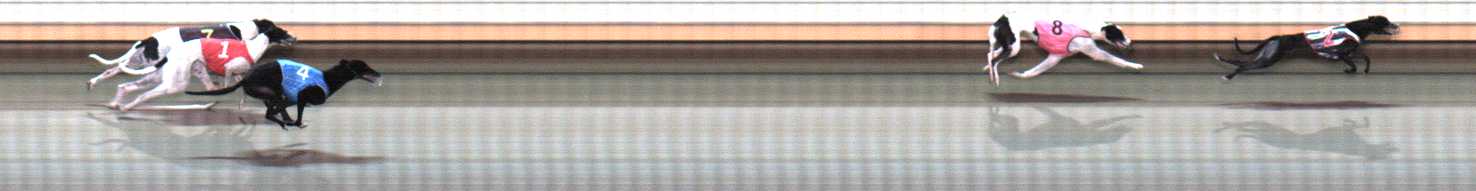 Photo finish for Warrnambool Race 2