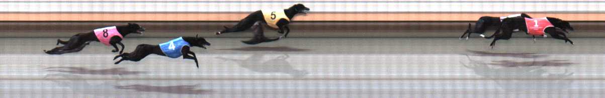 Photo finish for Warrnambool Race 3