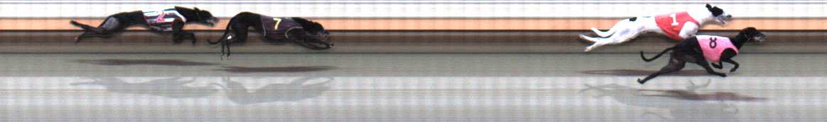 Photo finish for Warrnambool Race 5