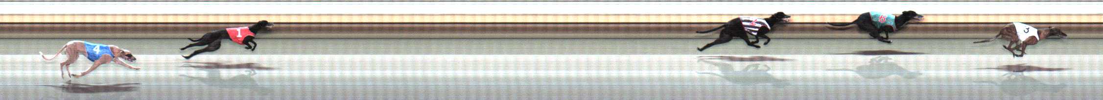 Photo finish for Warrnambool Race 6