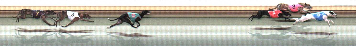 Photo finish for Warrnambool Race 7
